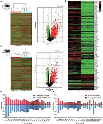 Dysregulation of Long Non-coding RNAs and mRNAs in Plasma of Clear Cell Renal Cell Carcinoma Patients Using Microarray and Bioinformatic Analysis